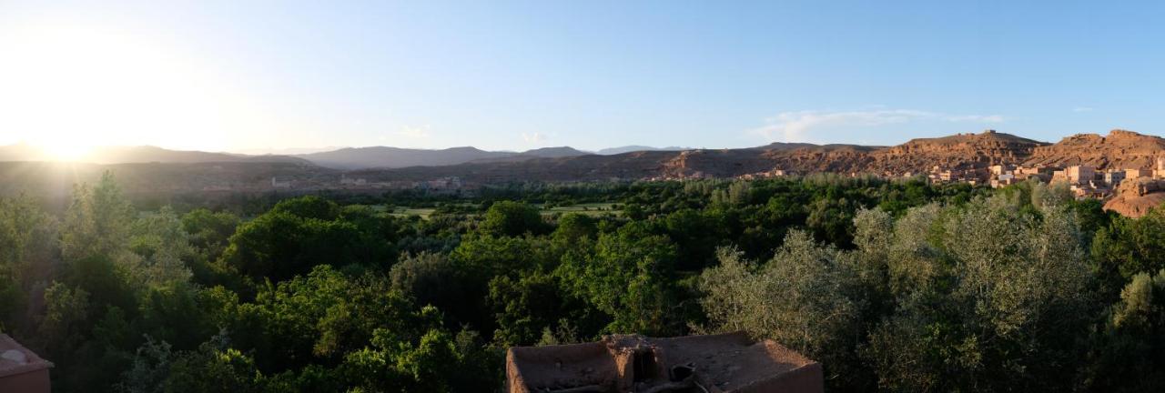 Les Jardins Du M'Goun Bed & Breakfast Kelaat-M'Gouna Ngoại thất bức ảnh
