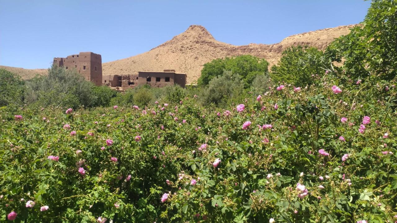 Les Jardins Du M'Goun Bed & Breakfast Kelaat-M'Gouna Ngoại thất bức ảnh