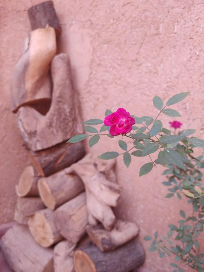 Les Jardins Du M'Goun Bed & Breakfast Kelaat-M'Gouna Ngoại thất bức ảnh