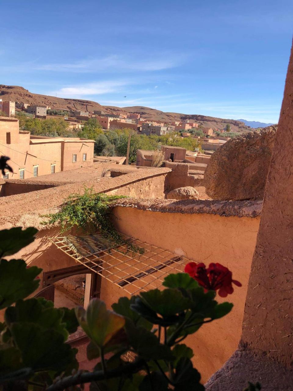 Les Jardins Du M'Goun Bed & Breakfast Kelaat-M'Gouna Ngoại thất bức ảnh